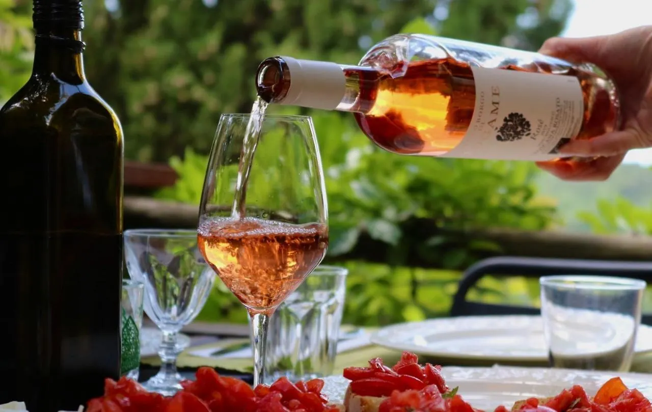 Farm stay Antico Borgo Di Sugame Villa Greve in Chianti Italy