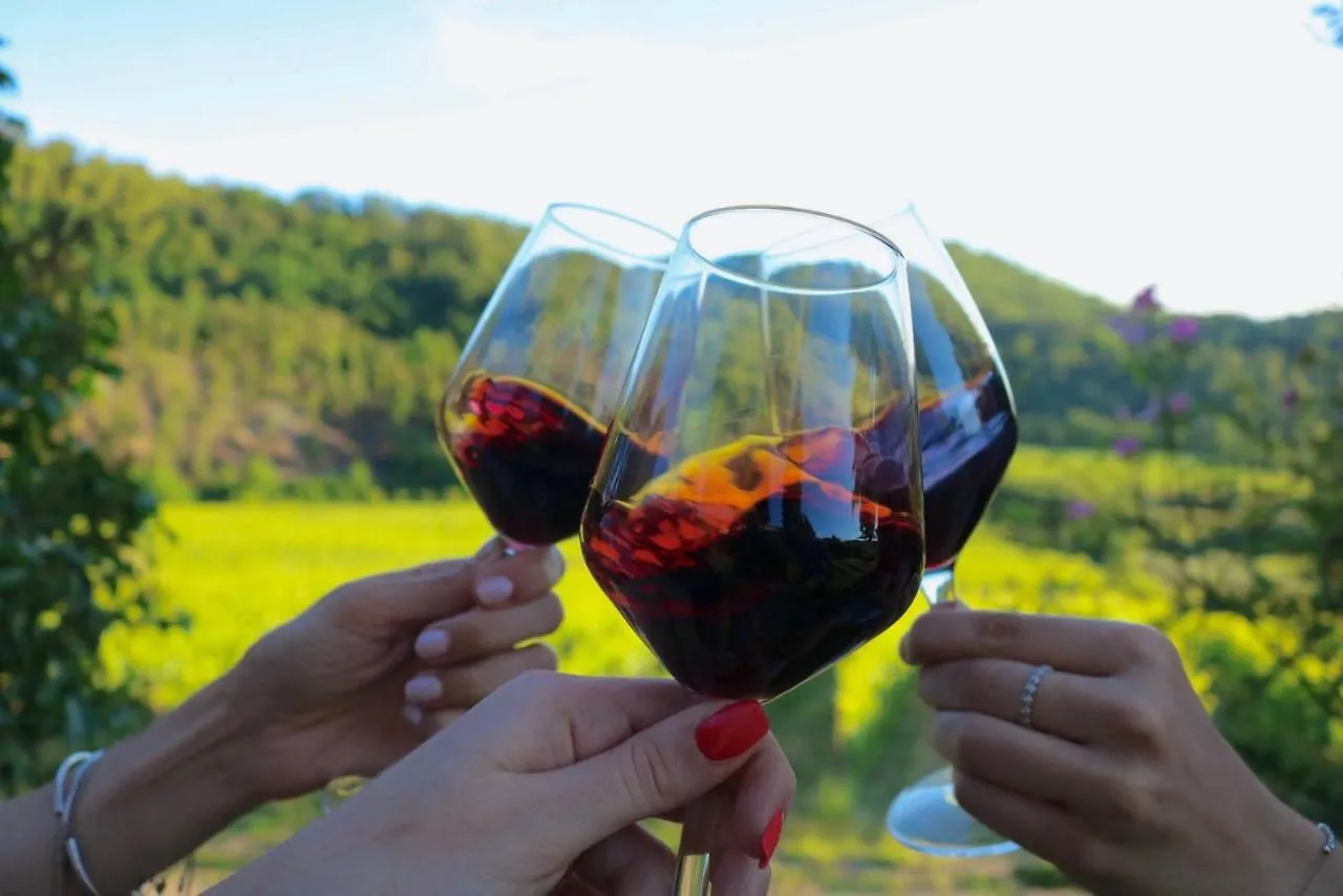 Farm stay Antico Borgo Di Sugame Villa Greve in Chianti
